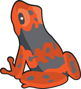 Free Cliparts Amphibians