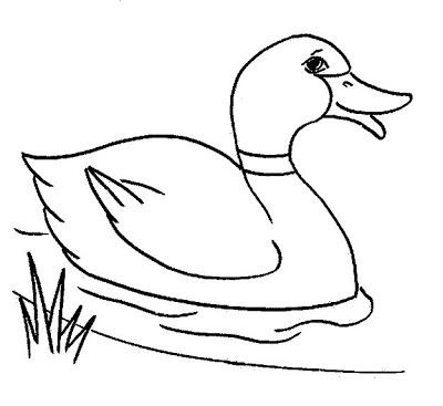 Duck Line Drawing