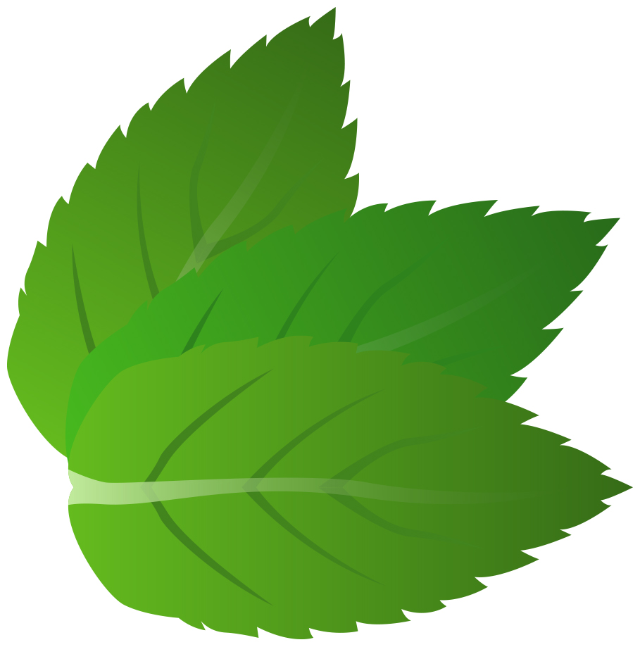 Herb cliparts