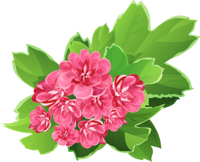 Cliparts Corsage