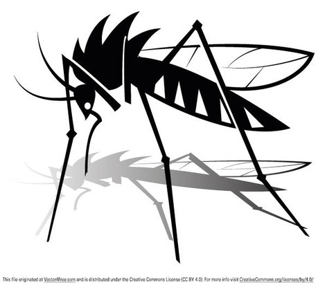 mosquito vector free download - Clip Art Library