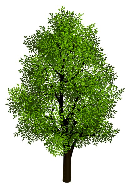 Free Tree Shrubs Cliparts, Download Free Tree Shrubs Cliparts png ...