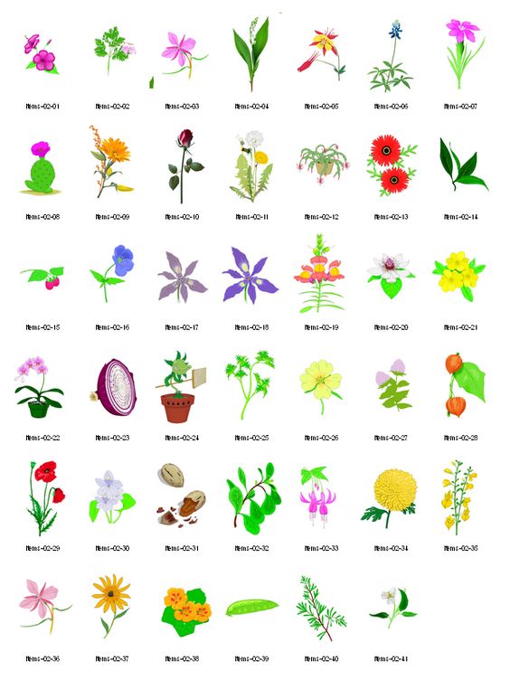 Free Clipart