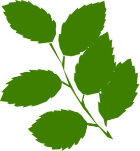 Green Pumpkin Cliparts