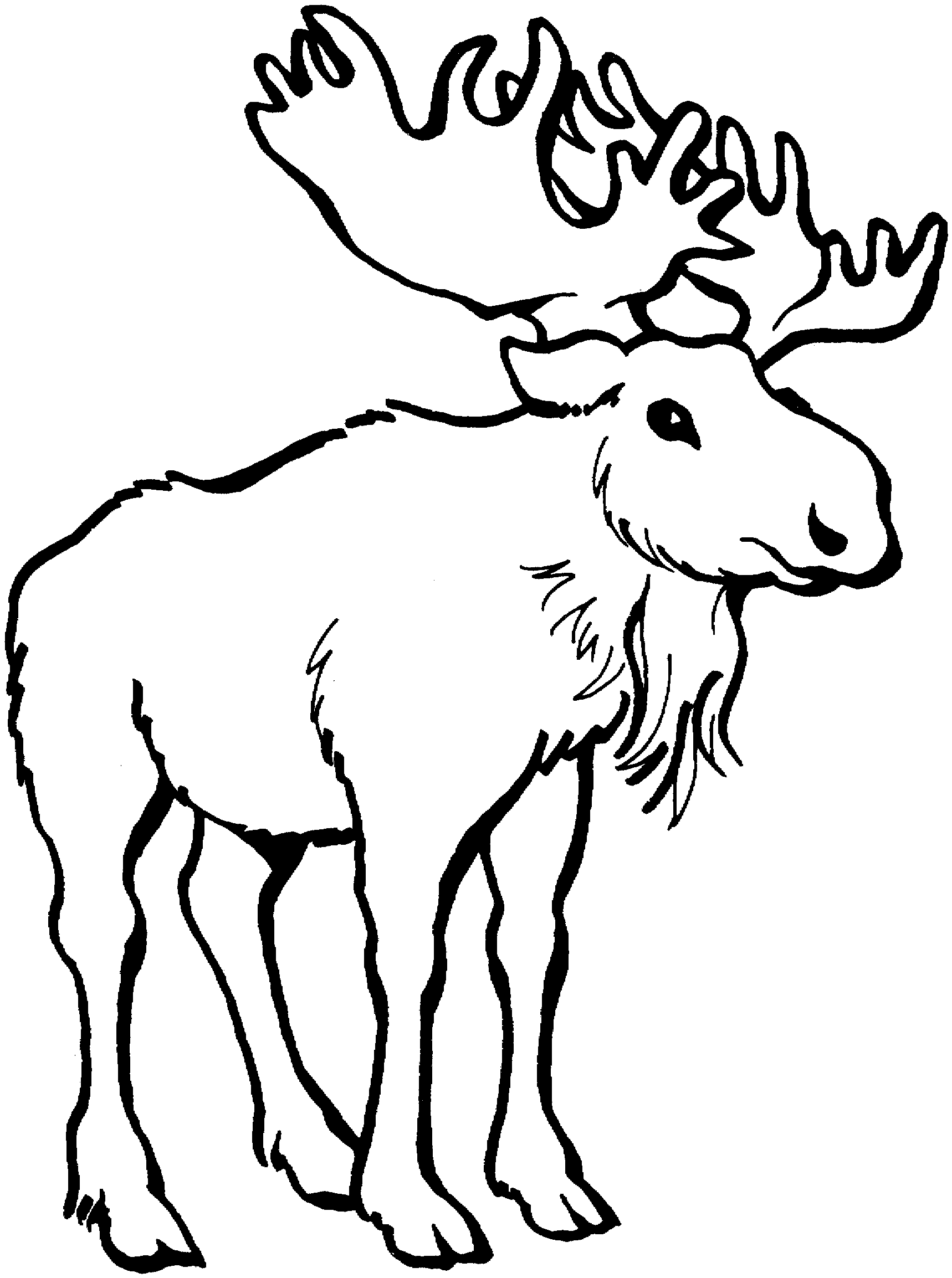 Moose Clipart Cartoon 