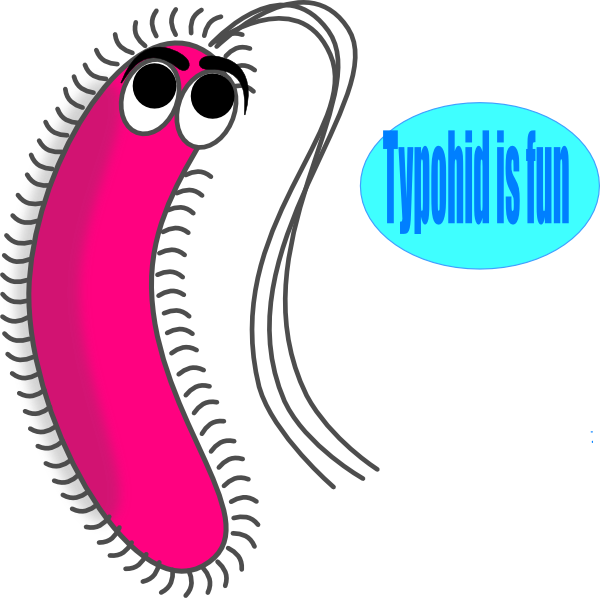 Cliparts Of Microorganisms