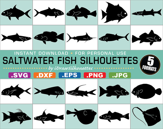65 Saltwater Fish Silhouette Clip Art Image by iDrawSilhouettes