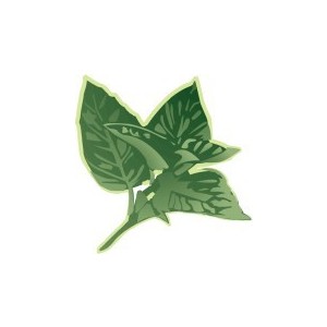 Herb Garden Clip Art