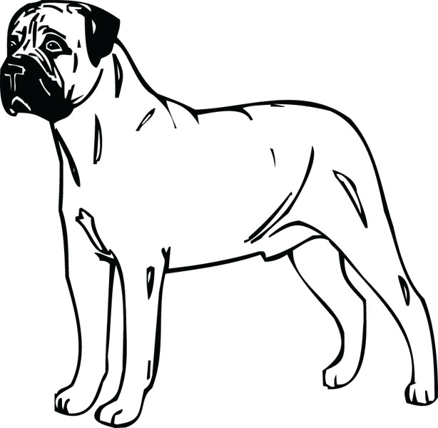 Free Mastiff Cliparts, Download Free Mastiff Cliparts png images, Free ...