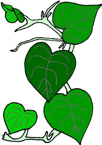 Green Vine Cliparts