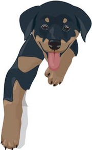 Cliparts Rottweiler Puppy