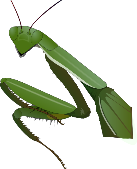 Mantis Cartoon Cliparts