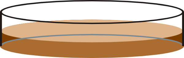 Bacteria Cliparts PNG