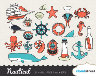 Seagull cliparts