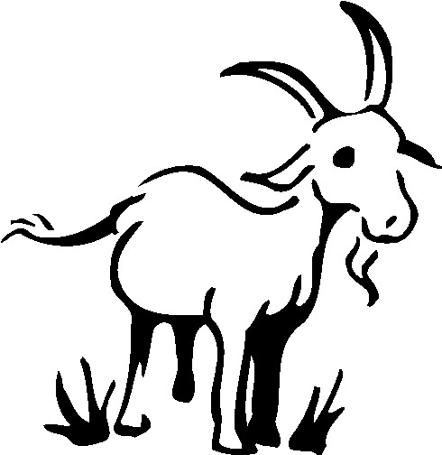 Show Goat Cliparts