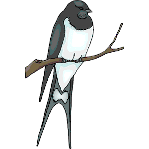 Swallow 6 clipart, cliparts of Swallow 6 free download