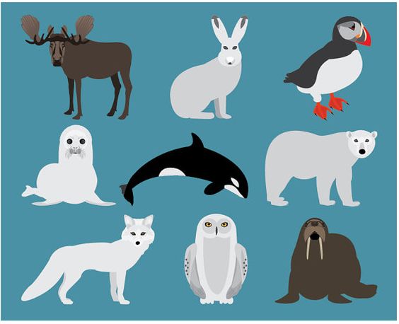 Snowy Animals Cliparts