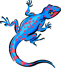 Gecko Lizard Clipart