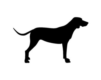 coonhound – Etsy