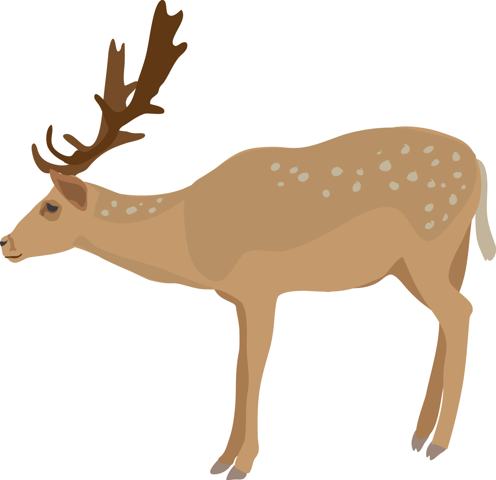 Deer clipart realistic cute