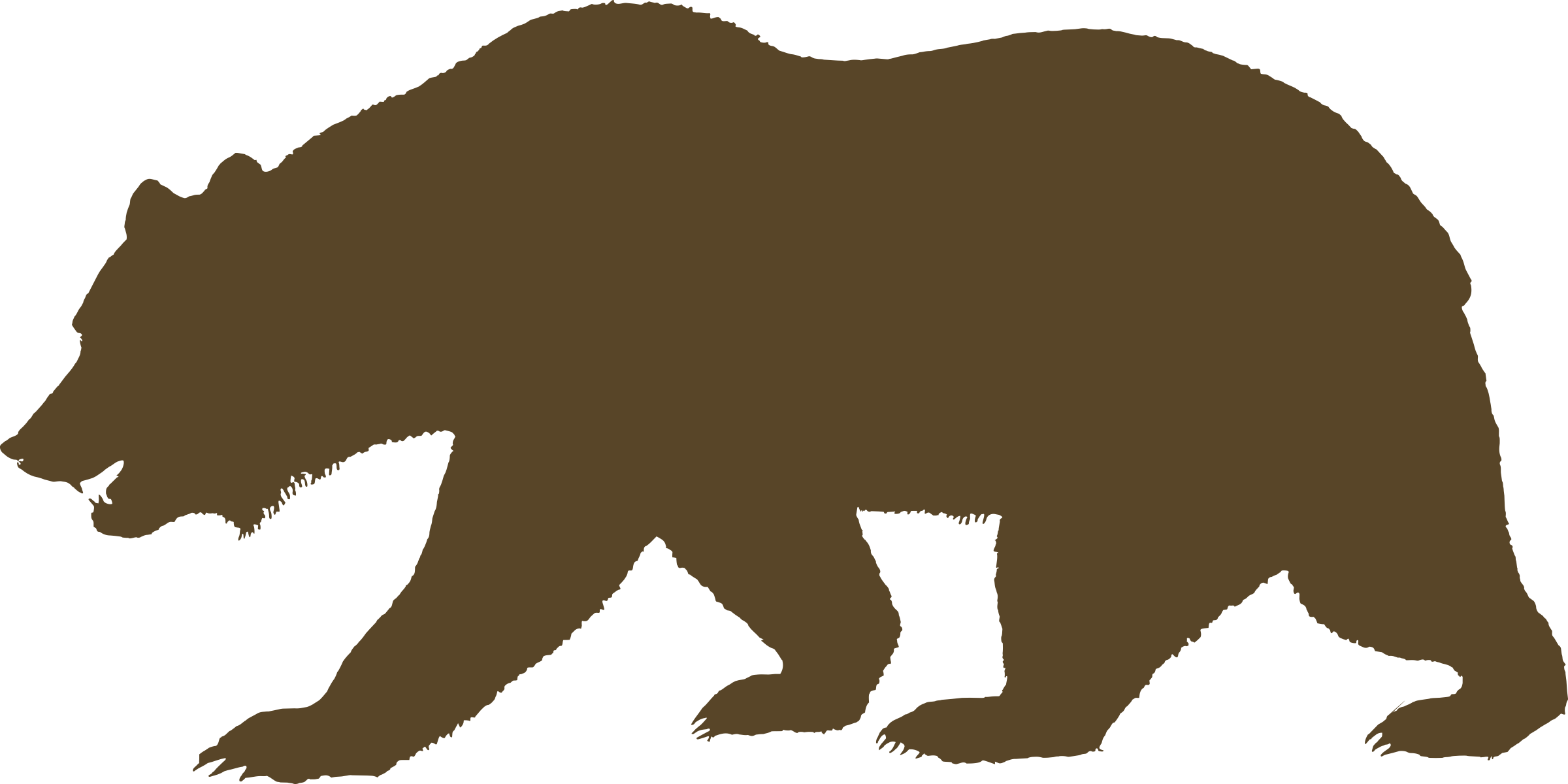 American black bear Grizzly bear Drawing Clip art - bear png download ...