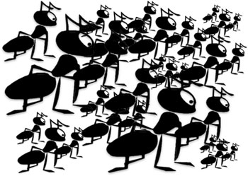 Free Ant Gifs