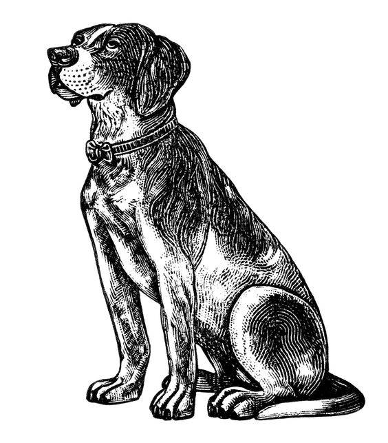 free vintage dog clipart, black and white clip art, digital pet