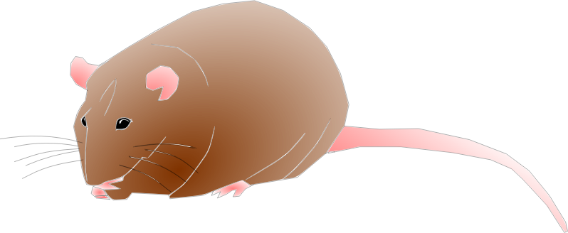 Cute Cliparts Gerbils