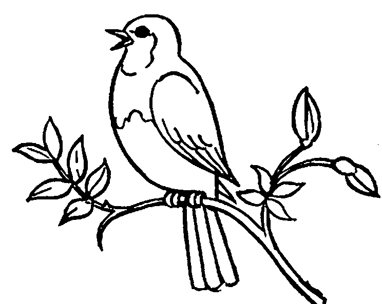 Bird singing clipart black and white