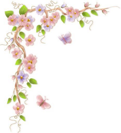 Beautiful Border Cliparts
