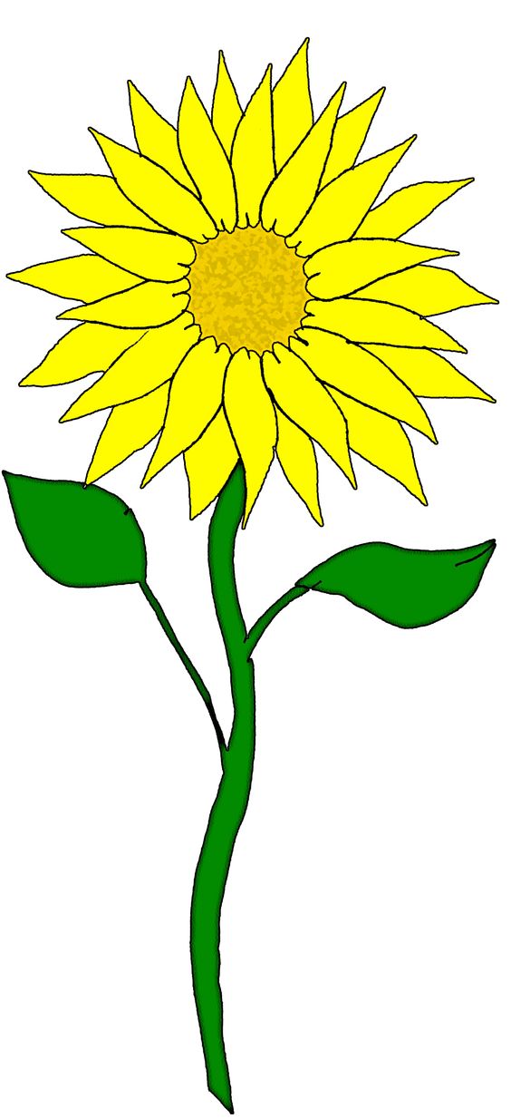 Free Flower Clipart