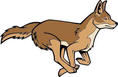 Coyote Clipart