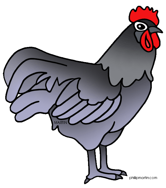 Black Chicken Clipart 19103
