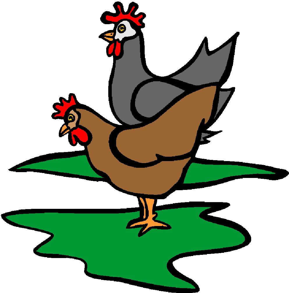Chicken feed clipart free clipart image