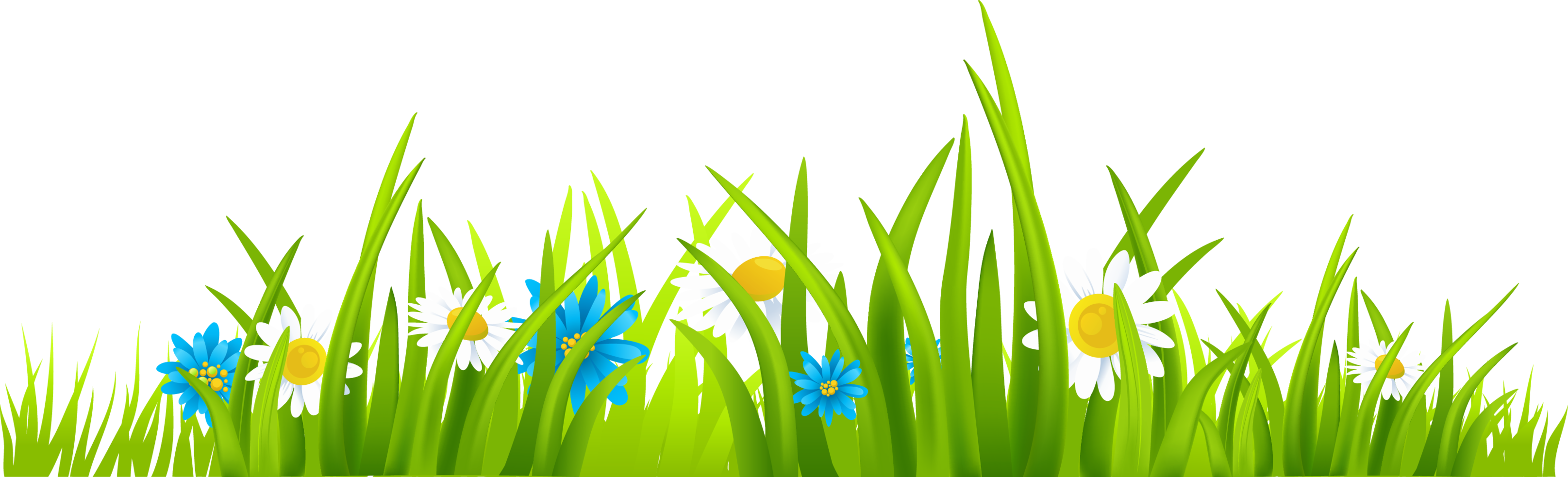 Grass Ground With Flowers PNG Clipart Picture Clipart