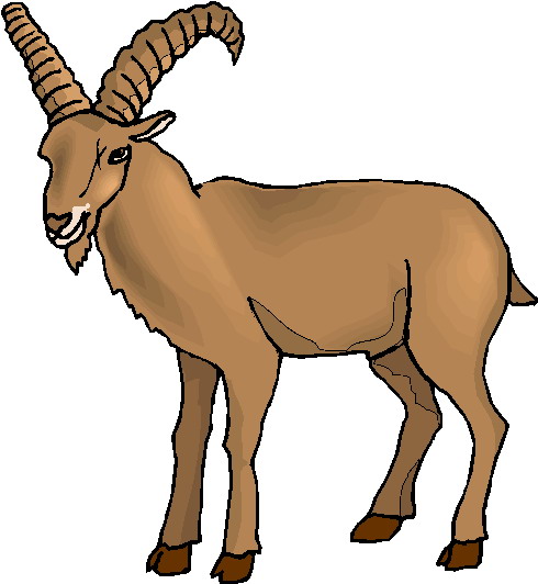 Show Goat Cliparts