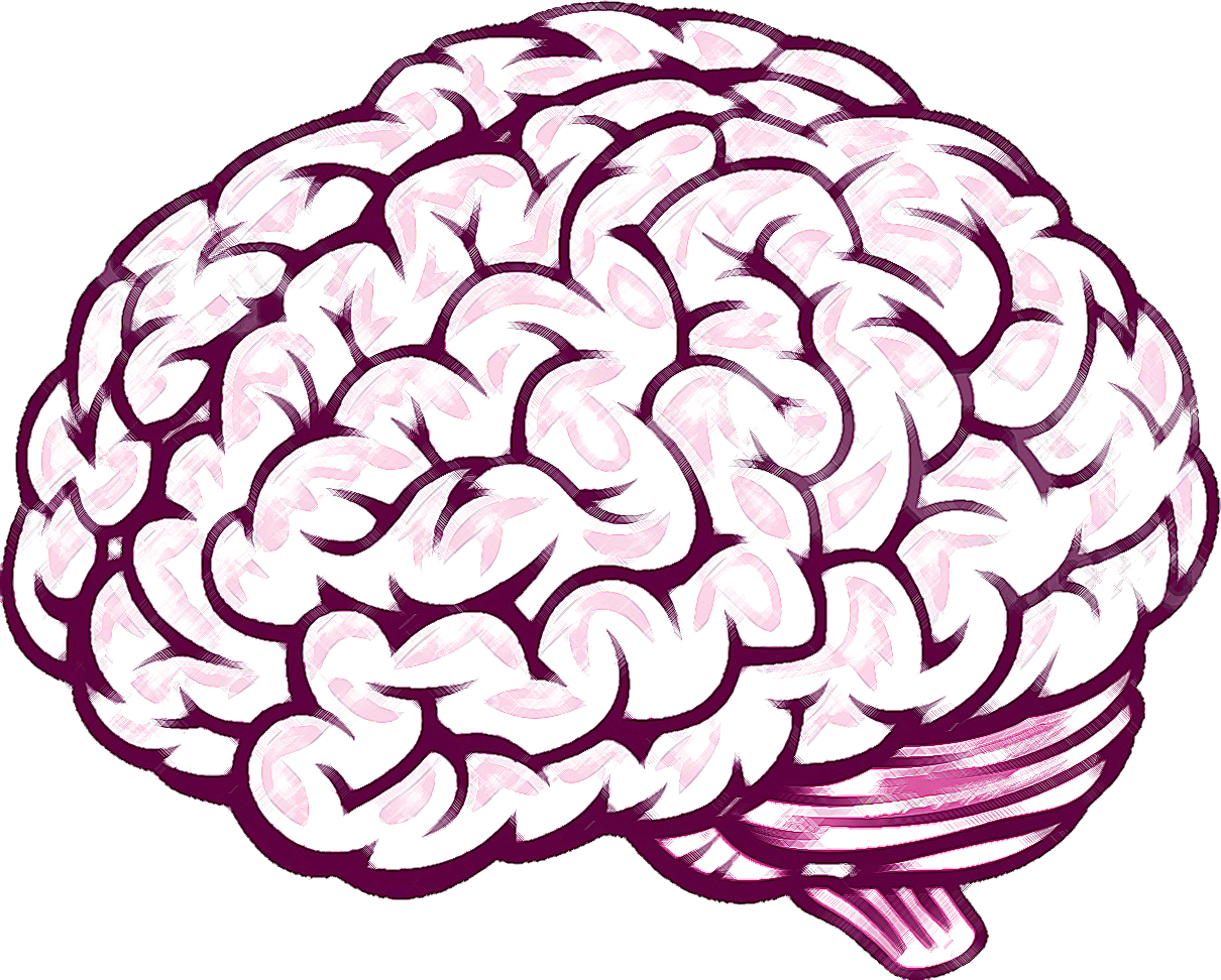 Head Brain Science Drawing High-Res Vector Graphic - Getty Images