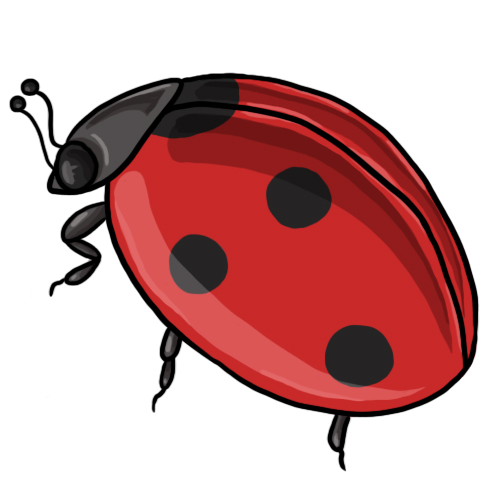 Ladybird Png Photos Mart - Ladybug Png Fundo,Transparent Ladybug - free  transparent png images 