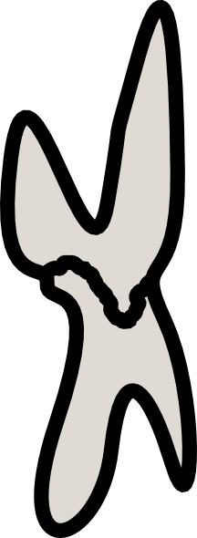 Stalactite/stalagmite Connection Clip Art