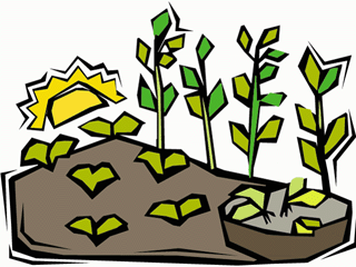 Growing Crops Cliparts