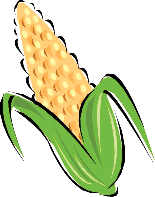 Corn Plant Clipart