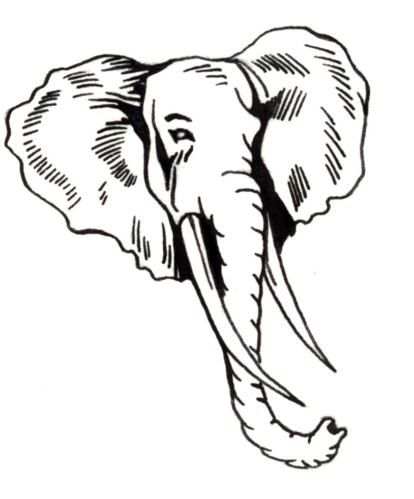 elephant face clipart outline