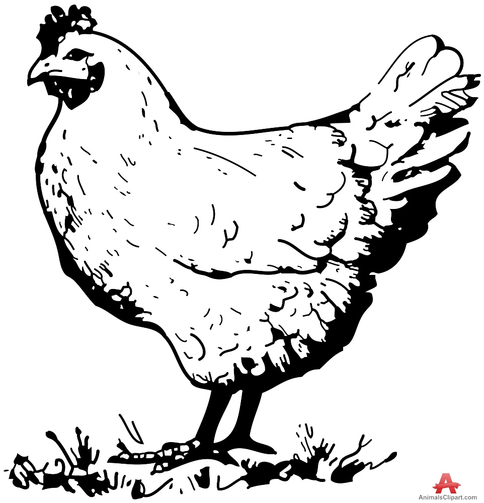 Vintage chicken clipart black and white