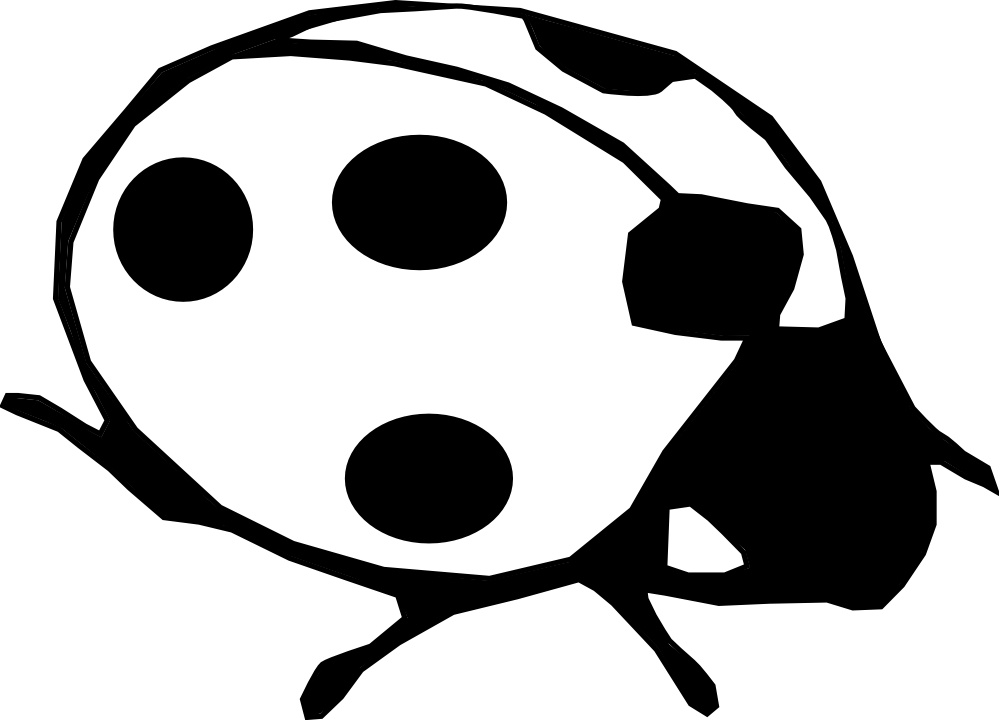 Black and white lady bug clipart