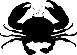 Crab Clipart Image