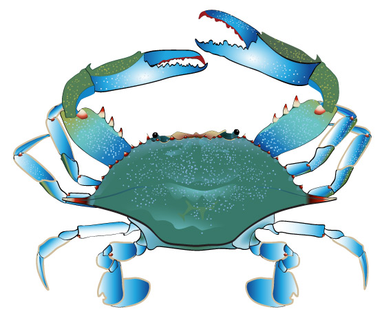 Pink Crab Cliparts