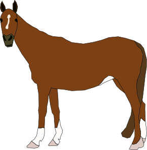 Horse Baby Cliparts
