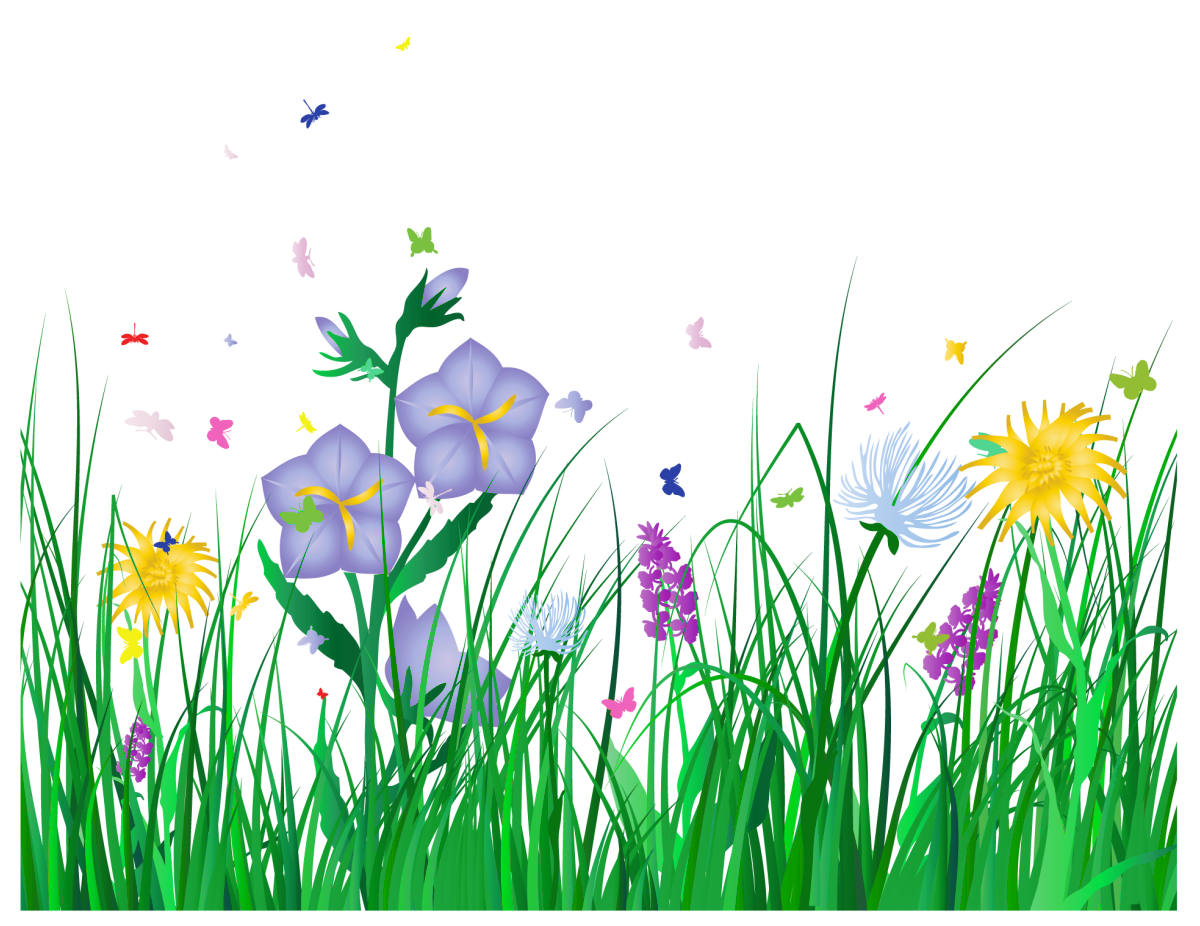 Free flower clipart no background