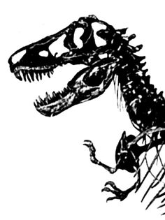 Dinosaur skeleton head clipart black and white