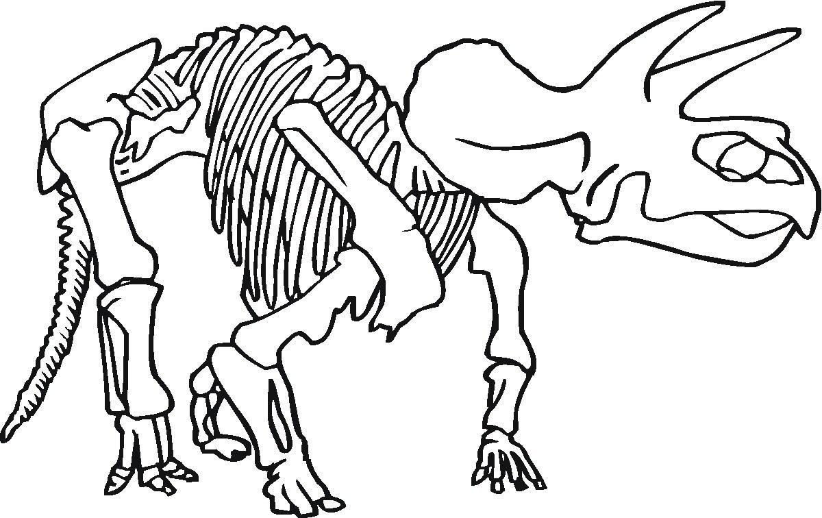 rat terrier besides dinosaur fossil skull clip art furthermore